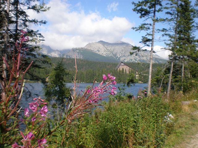 Eurocamp FICC Tatransk� Lomnica