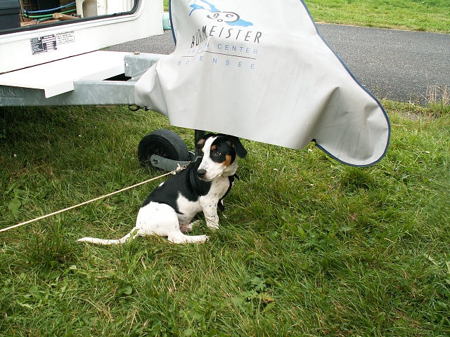 Eurocamp FICC Tatransk� Lomnica