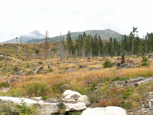 Eurocamp FICC Tatransk� Lomnica